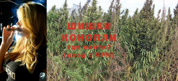 тгк Богданович