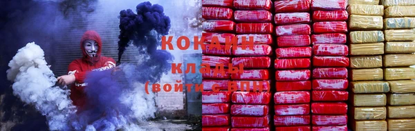 трава Богородицк