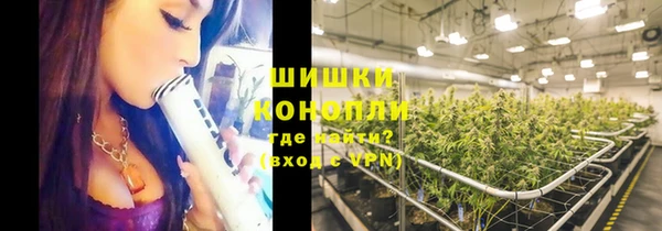 тгк Богданович