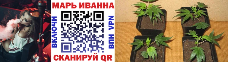 omg маркетплейс Реж Шишки марихуана SATIVA & INDICA